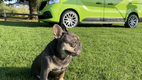 Penelope  – Penelope's Tourer