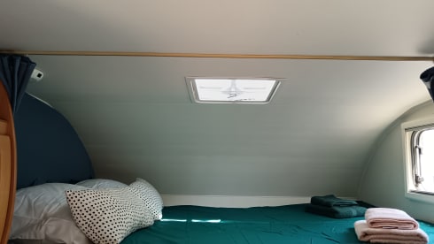 PROLOY – Proloy Bagchi