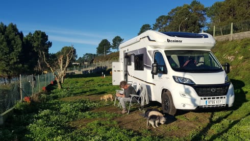 Marusol – 4p Benimar semi-integrated from 2018