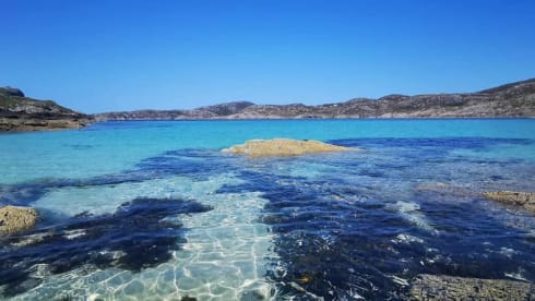 Ernie – Rollerteam 685 pet friendly motorhome