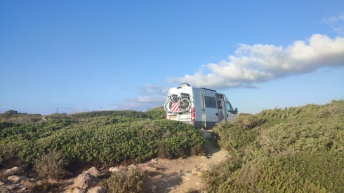 Van Nairobi – Are you a Nature Lover? It's time to experience the Beauty of Van Life