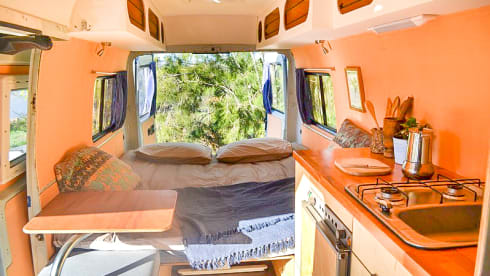 Roxanne – Mercedes Roxanne 207D