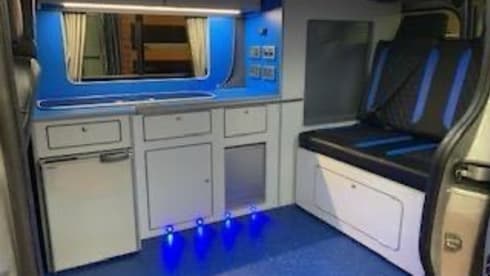 Trevor – Camper Renault a 4 posti letto del 2016