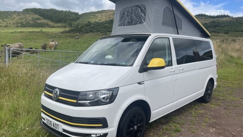 Daisy – 4 berth Volkswagen campervan from 2016