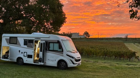 DELPORTE CYCLING – 5p McLouis CARAT 879 from 2025