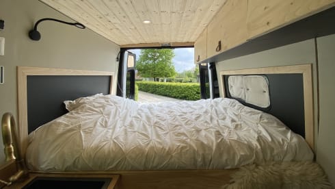Samz – 2p Mercedes-Benz bus from 2019