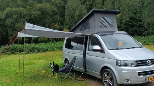 Tess – Camper elegante e confortevole 