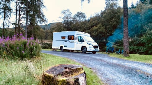 BETTY – ELDDIS VOGUE 155