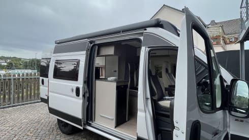 Borboleta – Fiat Ducato Challanger VIP