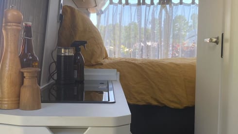 4p Volkswagen bus from 2022