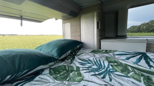 Calif – LIEFERWAGEN VW Kalifornien