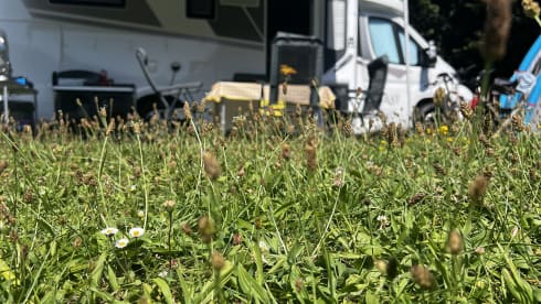 Louis – McLouis semi-integrated from 2024 automatic