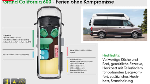 Grote beer – 4p Volkswagen campervan from 2022