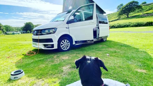 Eleanor  – Volkswagen T6 Highline LWB campervan 
