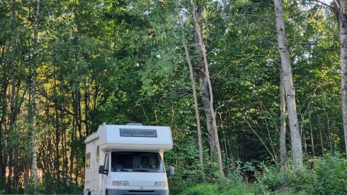 Jankies – Fiat Alcove 1998 🚎 max 5 persons 