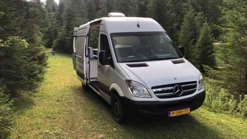 Bennie – 2p Mercedes-Benz bus from 2006