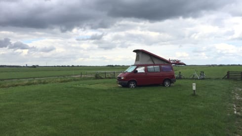 Volkswagen T4 Westfalia