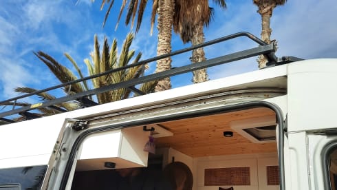 Your freedom on wheels!