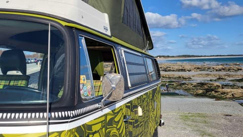 ELVIS  – Vintage Trip, westfalia combi