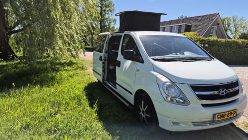 Gezellige en Functionele Hyundai Buscamper Euro 5