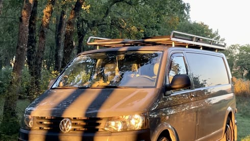 Nova – 2p Volkswagen bus uit 2013
