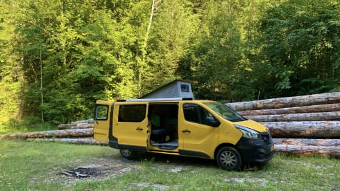 KIWI GOLD (6) – Renault Trafic Eco bus camper completely self-sufficient