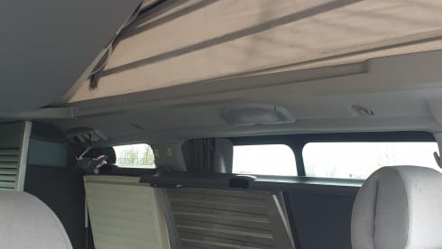Mercedes Westfalia camper bus, MarcoPolo 4 persons