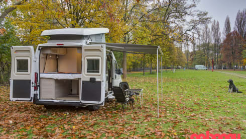 Bussie – Neuer kompakter Buscamper 5m40