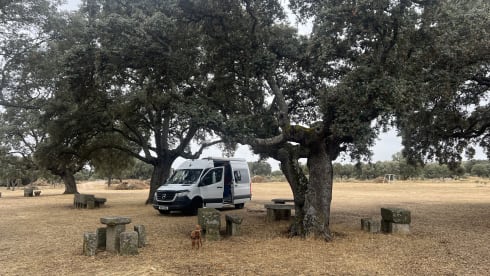 Connie2 – Just a lovely place to be.