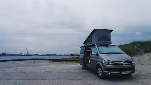 the.VANhoutte – 4p Volkswagen bus from 2019