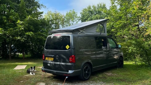 Daisy – Daisy – Camper VW T6 automatico | Vicino a Stansted | Animali ammessi | 4 posti letto
