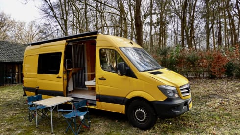 Siobvan – 2p Mercedes-Benz bus from 2014