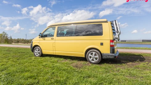 Sunny – 2p Volkswagen bus from 2015