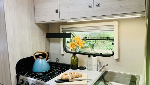 Winston  – 6 berth, 4 belt (2022)