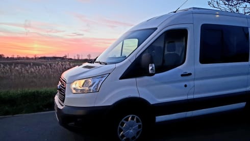 Autobus Ford a 2 posti del 2026