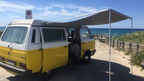 Vintage in freedom - T3 Westfalia