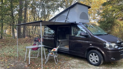 VW California T5 Comfortline 140hp diesel