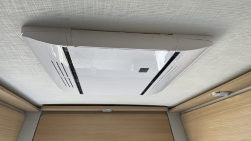 2-seater Fiat bus from 2021