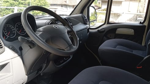 PERFETTO COMPAGNO DI VIAGGIO