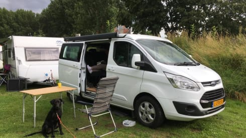 4p Ford campervan uit 2017