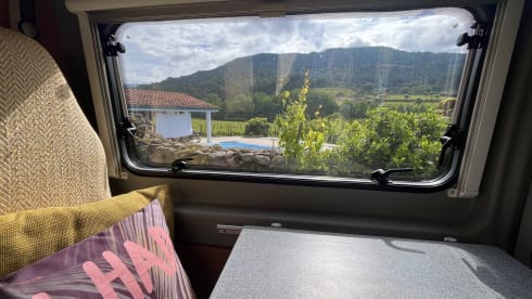 Spetter – 2p Fiat bus from 2013