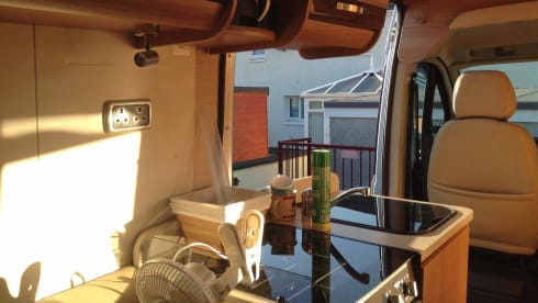 Bert the Boxer has been sold  – Bert the Boxer..... NON disponibile dal 23/8/21