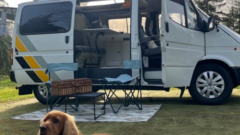 Harrison – 2p Marquis autres de 2019