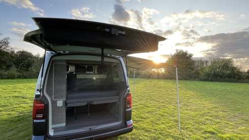 JEAN – JEAN- 4p Volkswagen California Ocean full option 2023 - Automatic