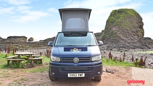 Velo – GO Anywhere Transporter