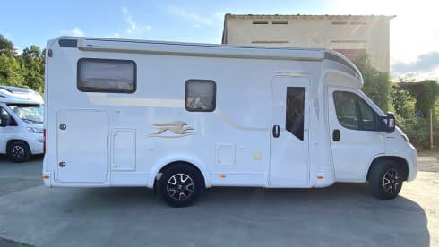 Laika Kosmo 209 – Laika Kosmo 209