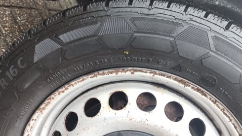 LEOPARD – Unique Volkswagen Camper (M+S Alpine tires and Euro 4!)