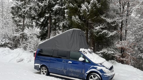 Booster Blue – Mercedes Viano bus camper