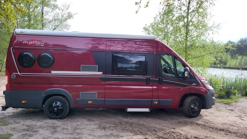 malibu – 2p Malibu bus uit 2015