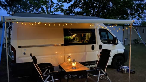 Willem – Willem - Cozy bus camper!